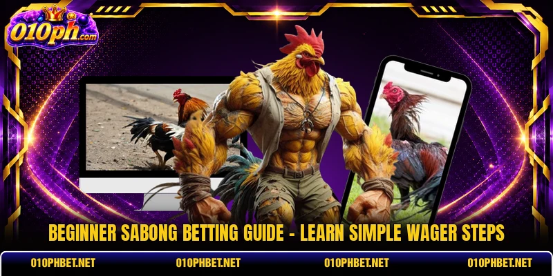 Beginner Sabong Betting Guide - Learn Simple Wager Steps