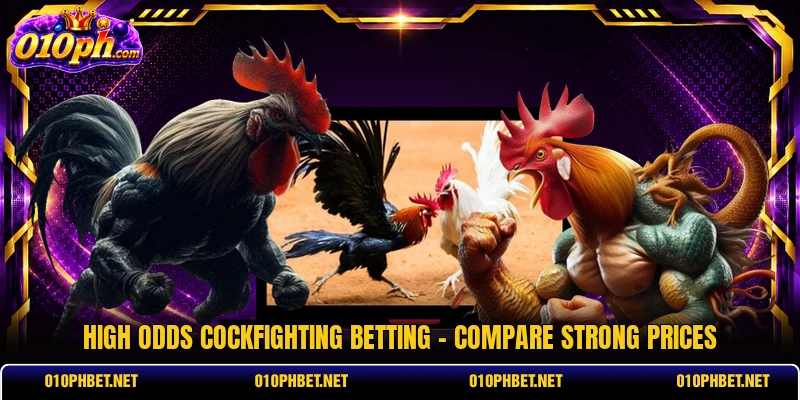 High Odds Cockfighting Betting - Compare Strong Prices