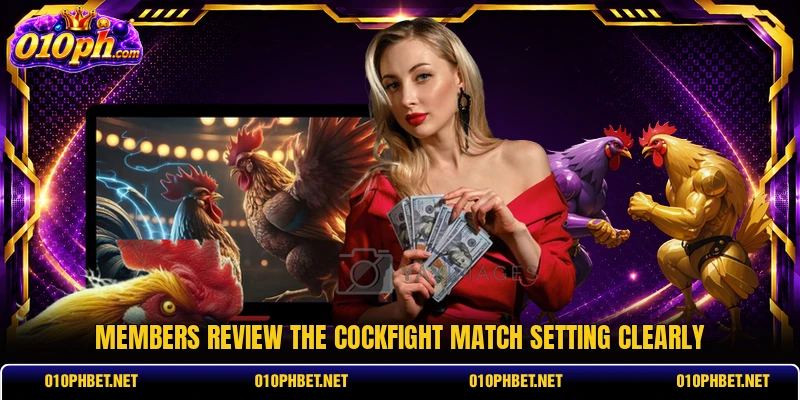 Members review the cockfight match setting clearly Members review the cockfight match setting clearly