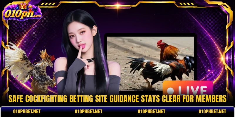 Safe cockfighting betting site guidance stays clear for members Safe cockfighting betting site guidance stays clear for members